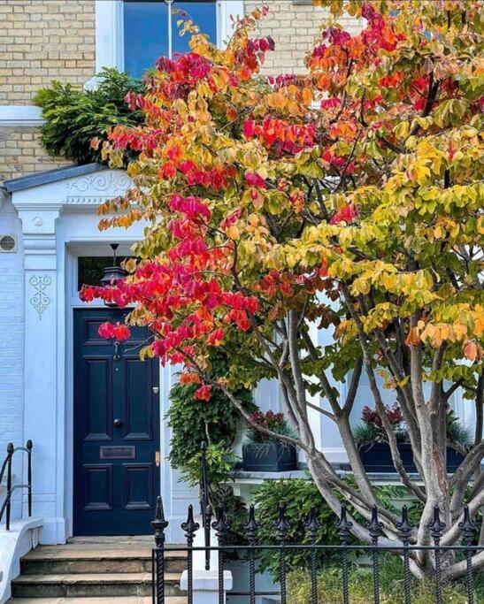 לונדון Chelsea Posh Apartment מראה חיצוני תמונה